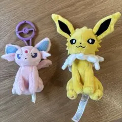 ポケモン ぬいぐるみセット