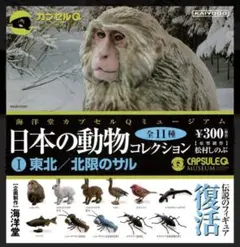 Item thumbnail for item 9e678048-4132-47fe-8a60-1e276702f85f