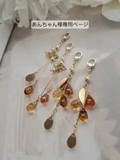 あんちゃん様専用ページです。