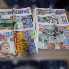 2002 월드컵 신문 일별 요약