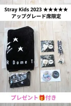 スキズ★5-StarDomeTour2023アップグレード席限定グッズセット