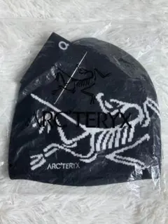 arc'teryx ニット帽