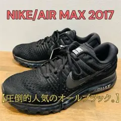 完売品】27cm Nike エアマックス ゴアドーム ポニーヘア ハラコ 黒