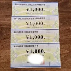 ビックカメラ 株主優待券 4,000円分