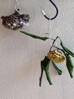 Item thumbnail for item 64ad29f9-cbde-406a-8e4a-29852d233840