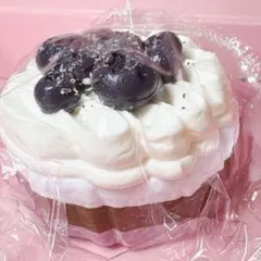 117 スクイーズ kikisquishy ホールケーキ ブルーベリー