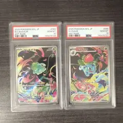 PSA10 連番 早い者勝ち ヤナップ AR ポケモンカード 引退品 P333 PSA10 連番 早い者勝ち ヤナップ AR ポケモンカード 引退品 P333
