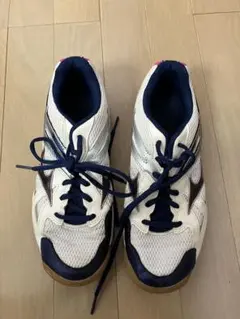 Item thumbnail for item 63205be0-2a01-4497-9407-0b0399bb3bc2