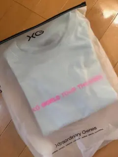 XG WORLD TOUR THE CORE Tシャツ Sサイズ アイスグレー - メルカリ