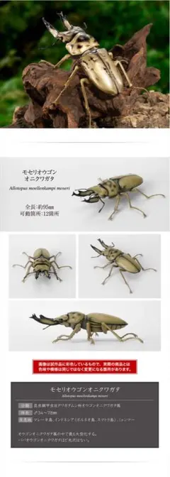 オンライン版　いきもの大図鑑クワガタ 09 モセリオウゴンオニクワガタ