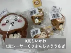 たぬきだもんくじ　ちいかわ