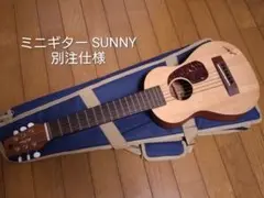 k.yairi ミニギター sunny 別注仕様 べっ甲柄ピックガード 焼印入りのサムネイル