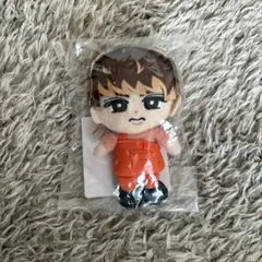 【24時以内発送】向井康二 すのチル ぬいぐるみ