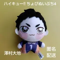 2026年最新】澤村大地 ぬいぐるみの人気アイテム - メルカリ