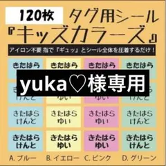 yuka♡様専用 リピ割 キッズカラーズ アイロン不要 お名前布シール タグ用