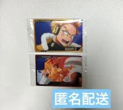 ヒロアカ　ウエハース4 ホークス　エンデヴァー