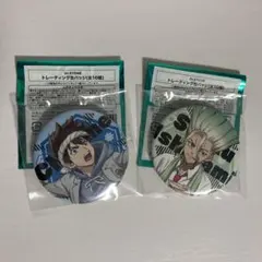 Dr. Stone 【千空】【クロム】缶バッジセット