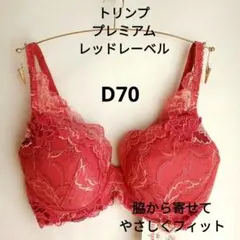 D70 トリンプ プレミアムレッドレーベル 脇から寄せて優しくフィット ブラ