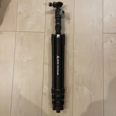 Item thumbnail for item 142717c2-a804-4cf0-8895-678035f77d06