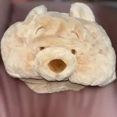 ディズニー プー ファンキャップ