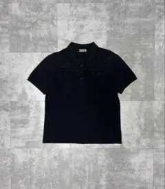 Dior homme 2006 AW hedi ポロシャツ ボーダー エディ S - メルカリ