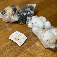 maruのてのひらわんこのぬいぐるみ 4点セット