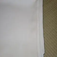 メロンアムンゼン　オフホワイト　5m