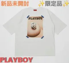 新品未開封【限定品】 プレイボーイ ナノユニバース おっぱい PLAYBOY別注