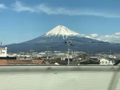 岩ガキ様専用ページ　ミュウミュウ　キーホルダー