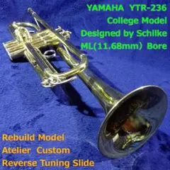 Item thumbnail for item 8da3c99a-aaaa-444e-b9b0-1c9f1cab8f79