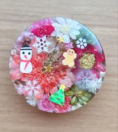 No.789 レジンヘアゴム♡ポニーフック・キーホルダー・ね