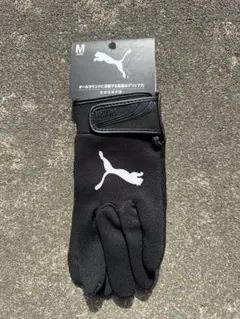 Item thumbnail for item 4fd43e8a-4bdc-4b40-8788-7d51574b9a51