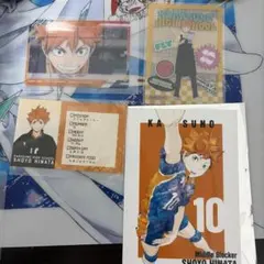 ハイキュー　日向翔陽セット