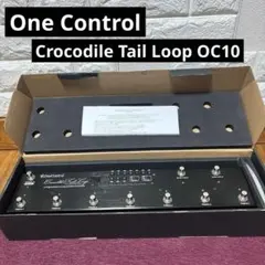 2026年最新】One Control Croc Eyeの人気アイテム - メルカリ