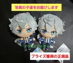 あんさんぶるスターズ あんスタ ぬいぐるみ マスコット 瀬名泉 新衣装 c d