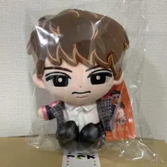 Snow Man 向井康二 すのチルぶら下がらないシリーズ BIGぬいぐるみ