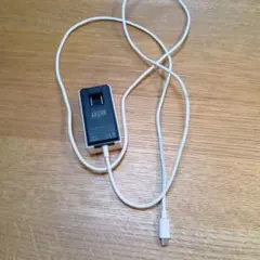 ジャンク品　SoftBank USB充電器 27W SB-AC20-TCPD