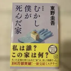 むかし僕が死んだ家
