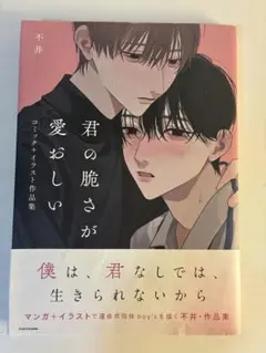 君の脆さが愛おしい 不井 コミックイラスト作品集