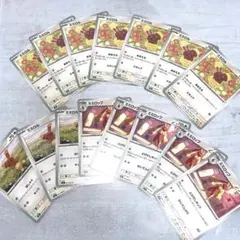 ミミロル　ミミロップ　まとめ売り　進化ライン　ポケモンカード　ポケカ