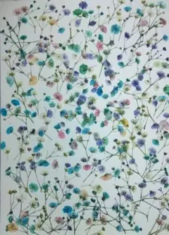 Item thumbnail for item b707898c-25d6-44eb-9786-0a3f4b06af35