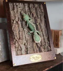 【新品】　OZWRT Agave Leaf Tailed Gecko 17cm