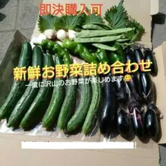 新鮮野菜詰め合わせセット きゅうり 茄子 ピーマン 他のサムネイル