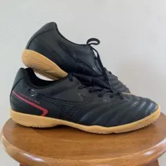 ミズノ　モナルシーダネオ　24cm