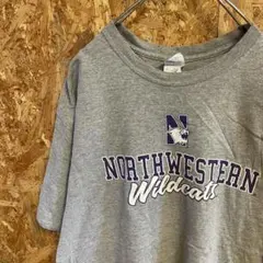 AE9338 90‘US古着 半袖Tシャツ グレー メンズ L ポス