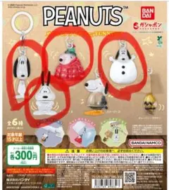 PEANUTS FUNNY ver. スヌーピーめじるしアクセサリー