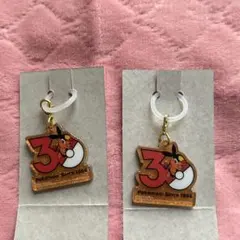 ポケモン　ロゴマスコット　ポケチャーム2 30周年　ポカブ　２点