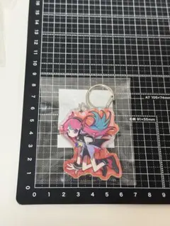 Selly CR フェス トレカ ぬいぐるみキーホルダー CRフェス Selly アクキー トレーディングカード - メルカリ