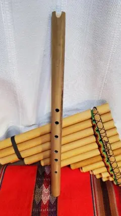 2026年最新】女竹の人気アイテム - メルカリ