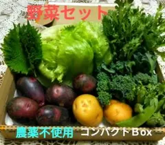 野菜セット❤じゃが芋❤レタス❤ブロッコリ❤スナップエンドウ❤春菊他⭐️農薬不使用のサムネイル